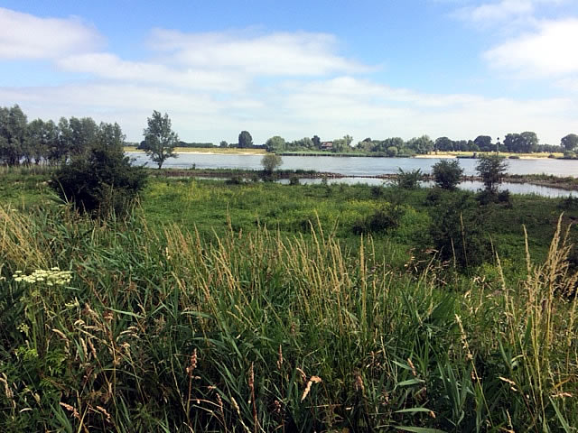 De uiterwaarden bij Slot Loevestein