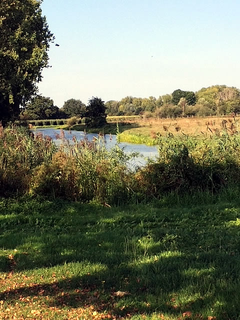 Polderlandschap in september