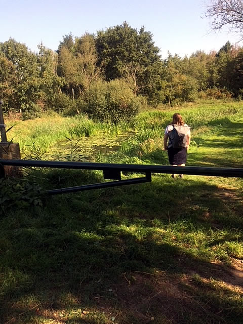 Wandelen in september